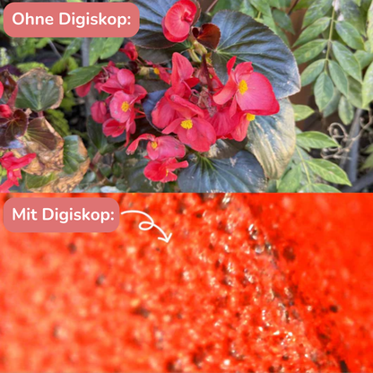 Digiskop - Digitales Mikroskop für Kinder